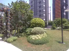 碧桂园保利天启 4室1厅 南