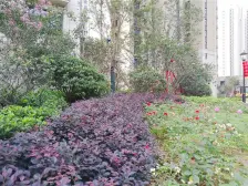 小区位置可以,双地铁就在楼下,人车分流