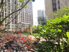 四叶草户型,前面无任何遮挡,采光好,视野开阔!