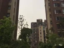 高层边套两房,褐色红砖 洋房式 高绿化 采光通透