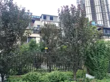 世茂北苑全新精装三房 户型方正南北通透 采光视野好