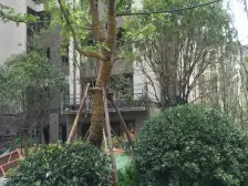 此房满二有本 好楼层 视野不遮挡 随时看房