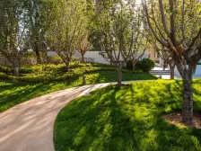 石药健康城 1室1厅 西