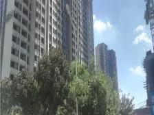 小区配套完善 采光好 业主置换 诚心出