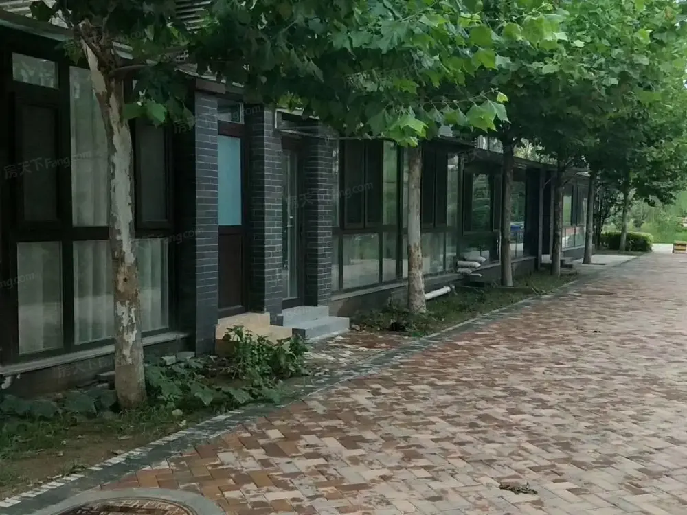 实景图
