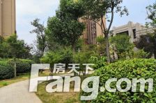 运河新城 西岸华府 霍小旁,诚心卖,诚心卖