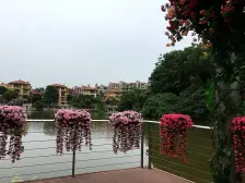 翡翠山六区 双阳台湖景房 近新动力广场