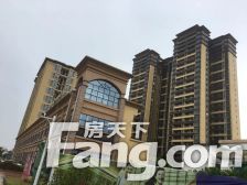 万江新城区朝南毛坯三房两卫!满五!户型宽阔!