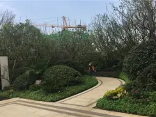 九龙湖金茂悦 南北通透,采光好 装修好,环镜优美 近地铁 中间楼层