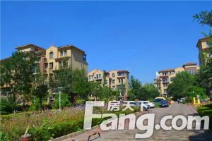 洋房一楼,带院子,实用面积大,很好住,有房本