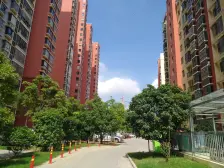 左岸王府 诚心出售 楼层采光好