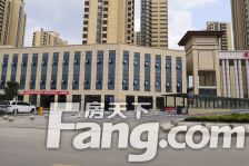 菱花富贵园二期 3室2厅 南