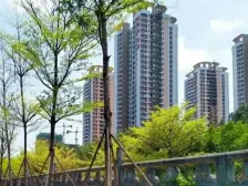 骋望珺玺小区中心一楼,可办学生托管班、绘画书法等兴趣班,宜商宜住。