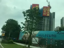 沙田碧桂园滨江豪园 5室2厅 南 北