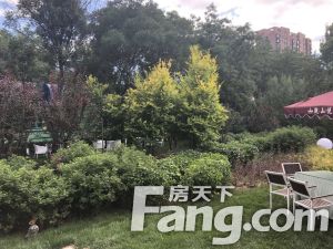 观山悦 精装平层 三居南北通透 家具家电齐全 拎包入住