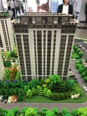 新城区新小区东河电梯小高层 可随意装修