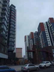 五里营 地铁口 房龄新 电梯房 能按揭