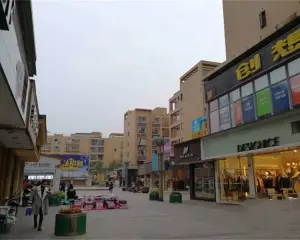 图腾国际 3室2厅 东 西