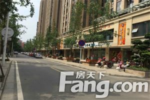 翡翠中心 1室1厅 南