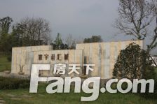 寰宇君汇城 3室2厅 东南