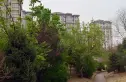 鲁能7號别墅实景图