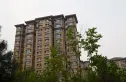 鲁能7號别墅实景图