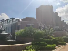 一楼有园 精装修 养宠种菜两不误 金地檀境两室