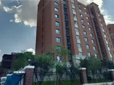 金地洋房 随时可签 南北通透 品字格局 海底隧道