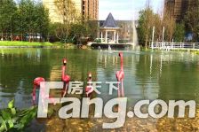 新城区北院,恒大御景,人车分流,精装四房带家俱家电