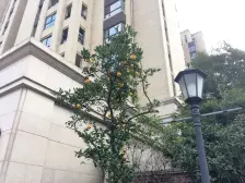 周浦标杆品质小区人车分流新上架三房两卫钥匙房