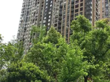 奥克斯缔壹城 1室1厅 东南