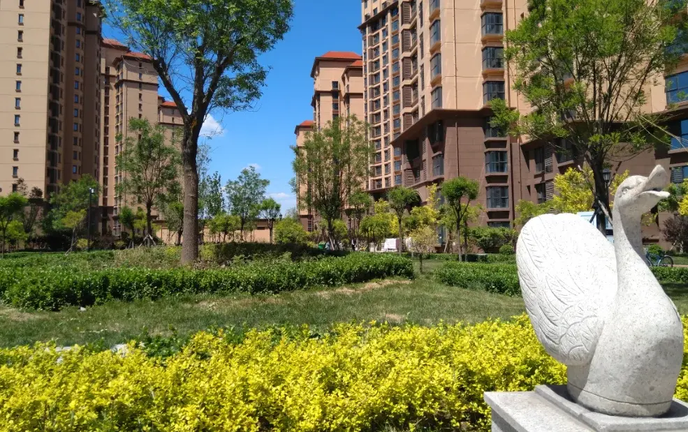 实景图
