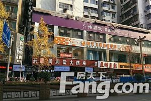 人民中路230号 4室2厅 南