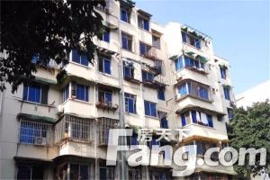 东苑(安居路) 3室1厅 东南 南