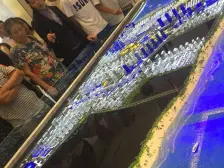 此房打头联排 院子大约80平方 位置不错