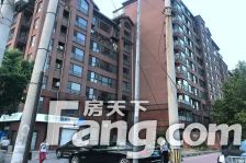 海棠公社花园洋房 有电梯 精装修 上叠户型