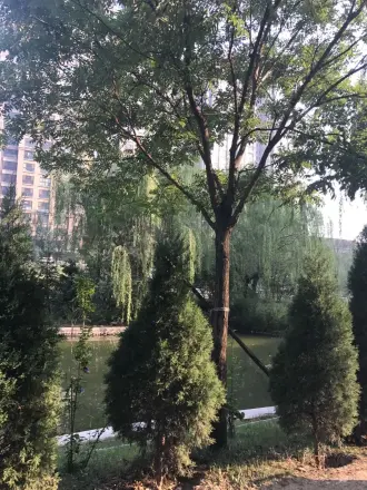 公园时代实景图