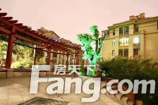 盛世沂城北区电梯洋房好楼层,大四室采光好,全明户型