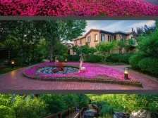 联排别墅,独门独院,西打头边户,带南向da院子带车位