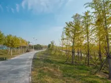 四层联排别墅 车库两车位 前后院子 鹭鸣湖公园