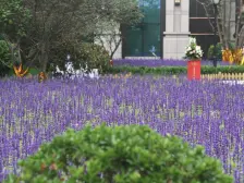 洋房全屋定制精装修,三室两厅两卫 采光充足