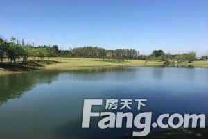 两河院子 5室2厅 东南