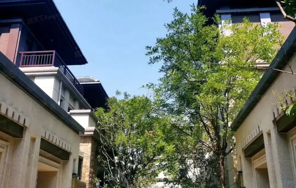 兰池大道 独栋别墅(合院) 上下五层 实用面积700平