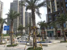 朝阳新城 世茂大观北苑 精装自住 业主诚心卖