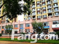 安德利花园+精装修+带家具电+满五年