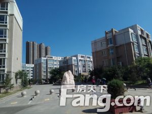 千家和众新家园 电梯11楼 价钱能谈 可以看房本两年外