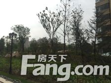 森泰御城·上院4室2厅南