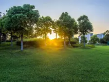 星雨华府好楼栋好楼层精装修三房
