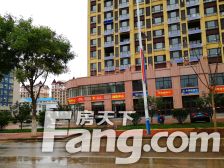 安德利花园3室2厅南北