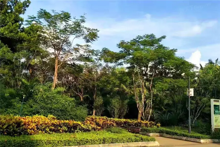 小区相关图